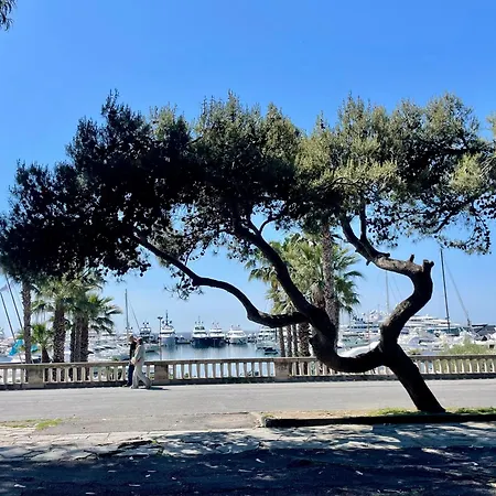 Lejlighed Casa Chicca - Bilocale Con Parcheggio Privato